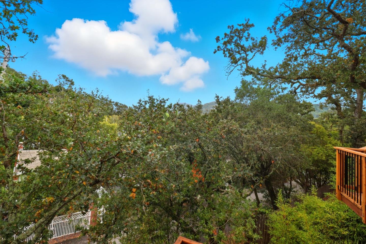 Detail Gallery Image 30 of 35 For 20 Brookmont Cir, San Anselmo,  CA 94960 - 3 Beds | 2 Baths