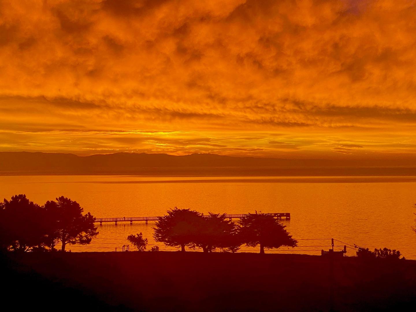 Detail Gallery Image 34 of 42 For 101 Crescent Way #2312,  San Francisco,  CA 94134 - 3 Beds | 2 Baths