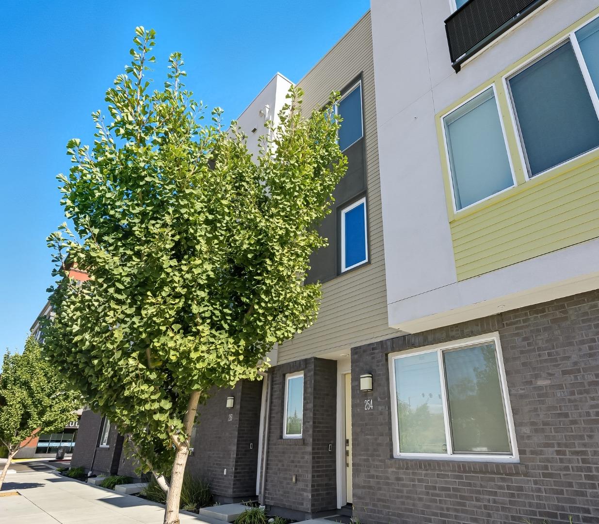 Detail Gallery Image 4 of 41 For 254 Terraine St, San Jose,  CA 95110 - 2 Beds | 2/1 Baths