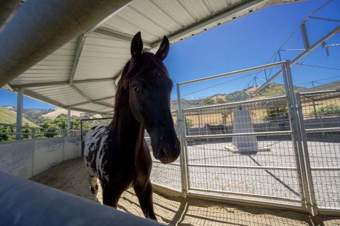 Detail Gallery Image 5 of 74 For 350 San Benancio Rd, Salinas,  CA 93908 - 3 Beds | 2/1 Baths