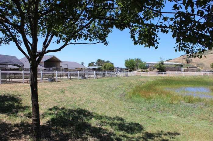 Detail Gallery Image 69 of 74 For 350 San Benancio Rd, Salinas,  CA 93908 - 3 Beds | 2/1 Baths