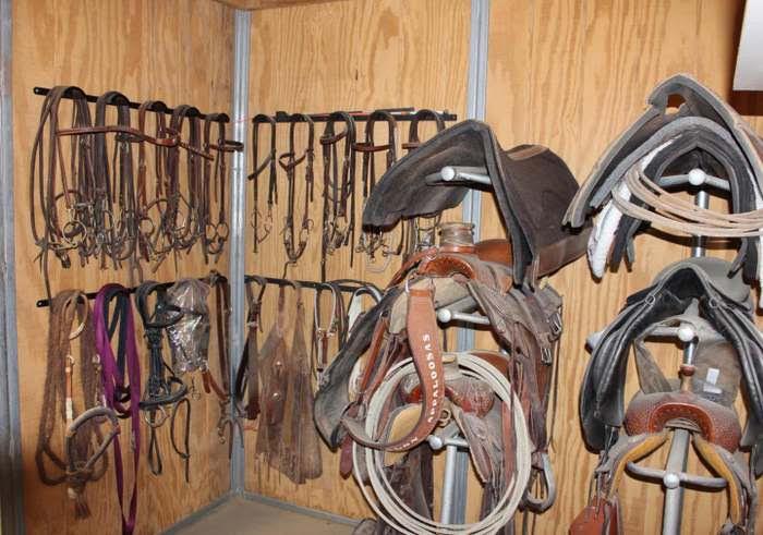 Detail Gallery Image 9 of 74 For 350 San Benancio Rd, Salinas,  CA 93908 - 3 Beds | 2/1 Baths