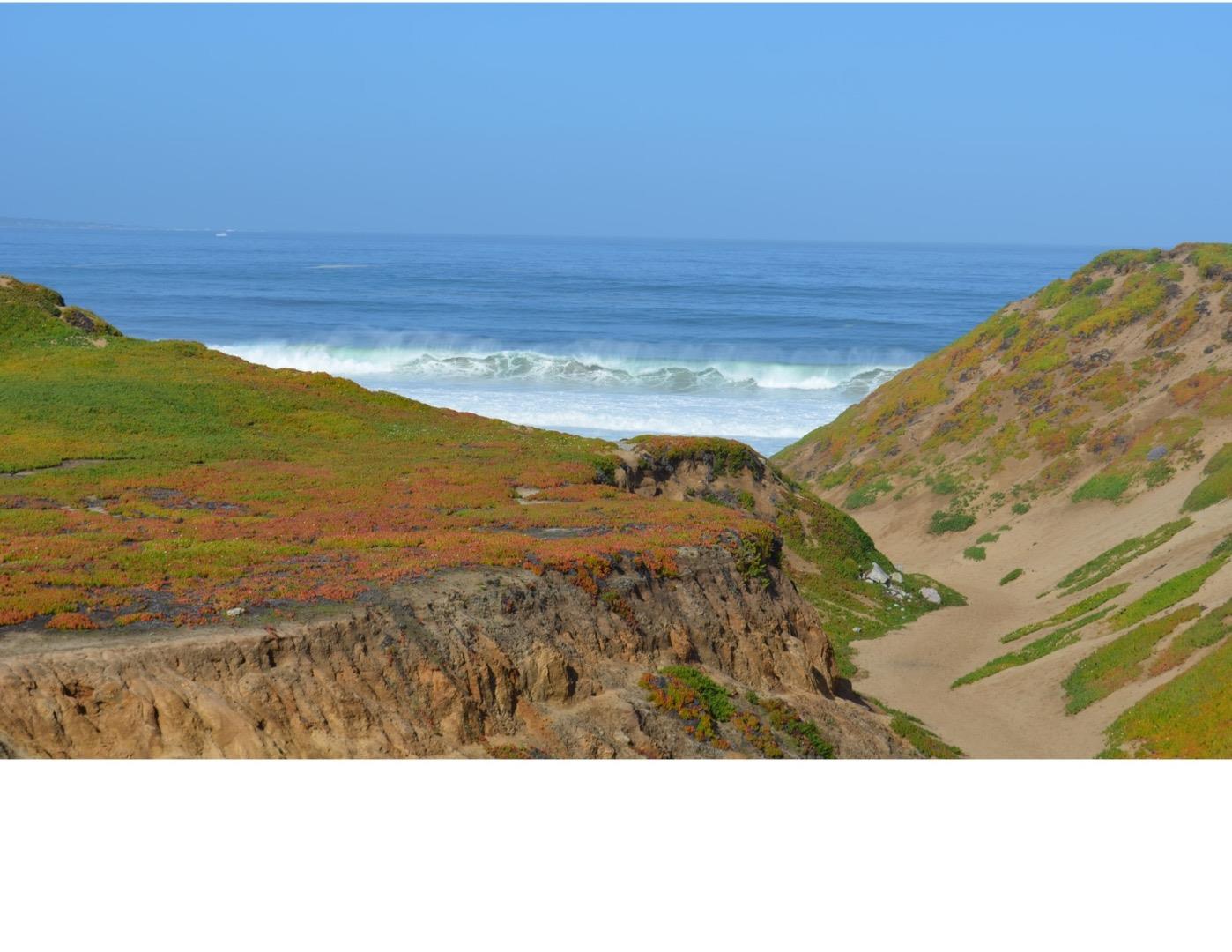 Detail Gallery Image 40 of 40 For 2721 Parkview Way, Marina,  CA 93933 - 4 Beds | 2/1 Baths