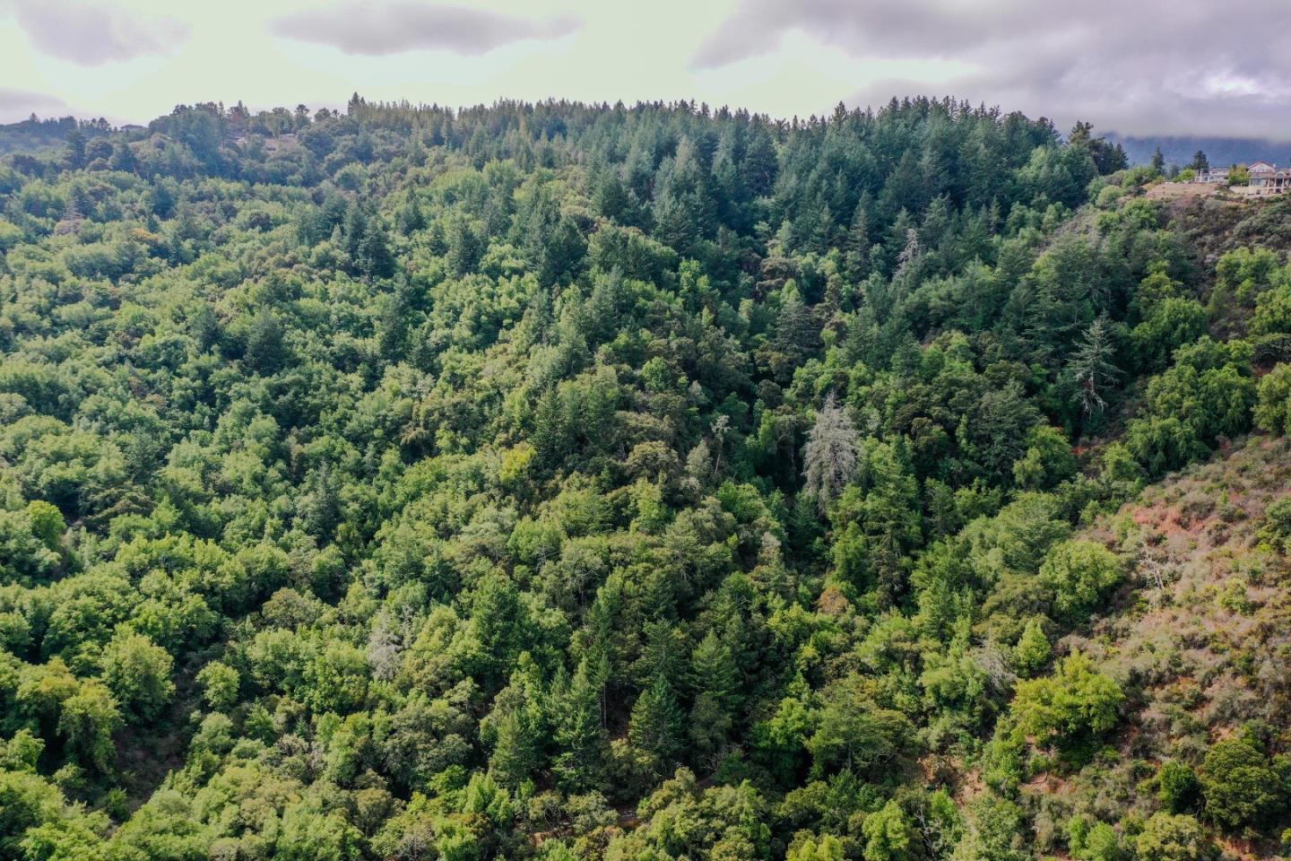 Detail Gallery Image 4 of 10 For 15910 Wildcat Ridge, Saratoga,  CA 95070 - – Beds | – Baths