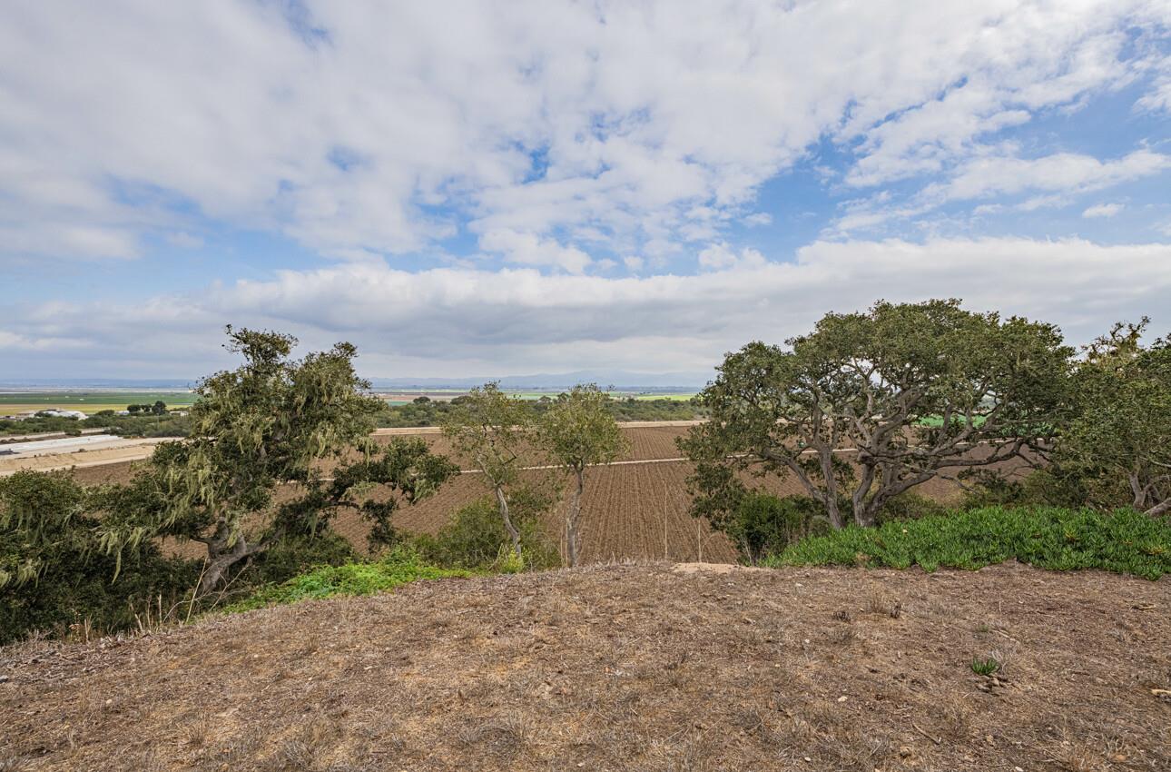 Detail Gallery Image 28 of 29 For 905 W Blanco Rd, Salinas,  CA 93908 - 2 Beds | 1 Baths