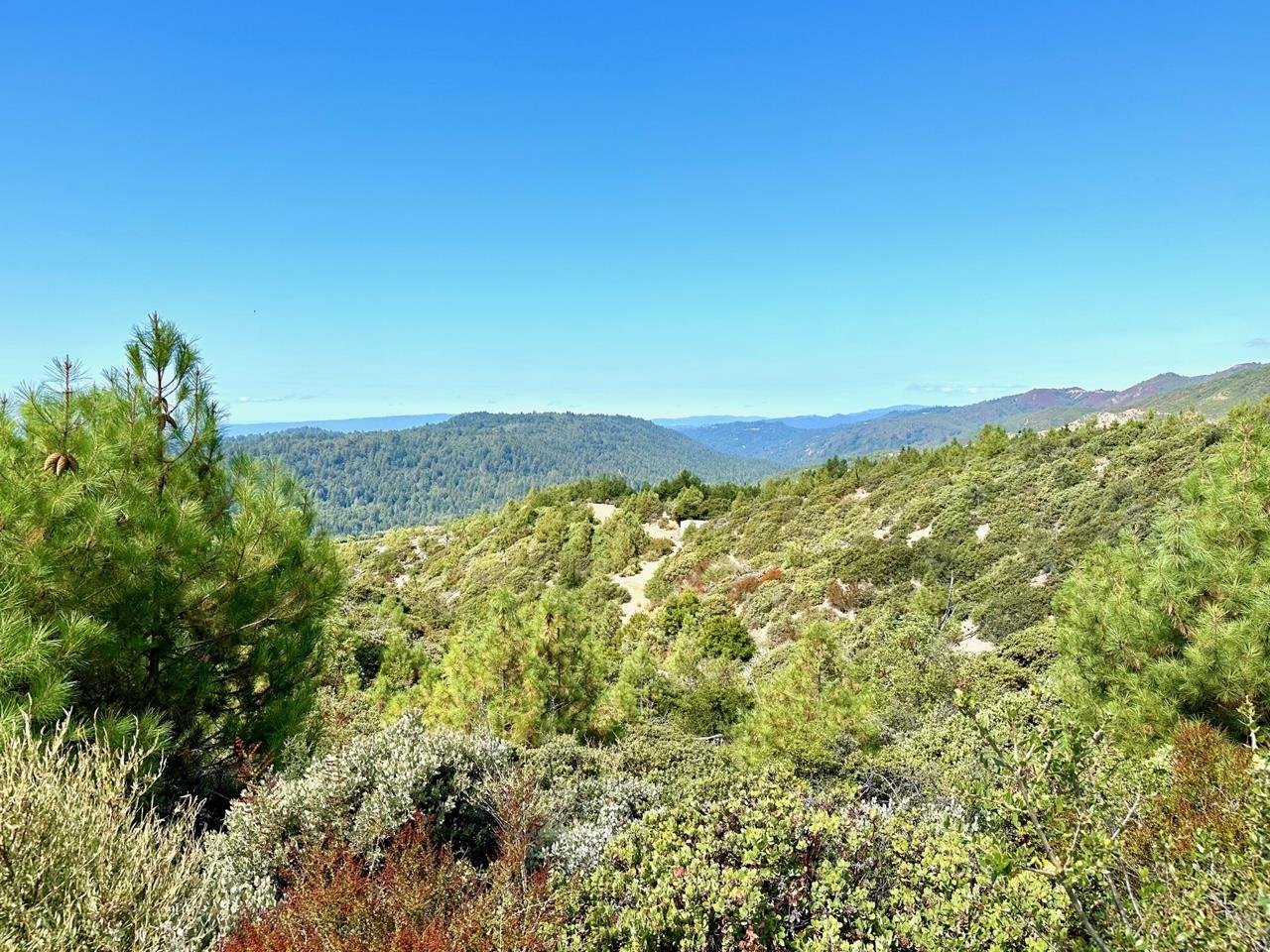 Detail Gallery Image 10 of 23 For 0 Ormsby Cutoff, Watsonville,  CA 95076 - – Beds | – Baths