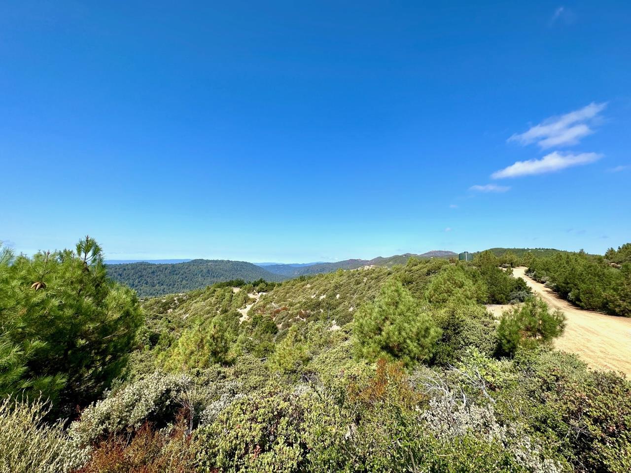 Detail Gallery Image 11 of 23 For 0 Ormsby Cutoff, Watsonville,  CA 95076 - – Beds | – Baths