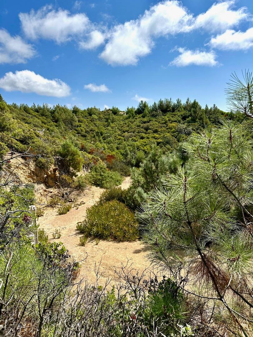 Detail Gallery Image 13 of 23 For 0 Ormsby Cutoff, Watsonville,  CA 95076 - – Beds | – Baths