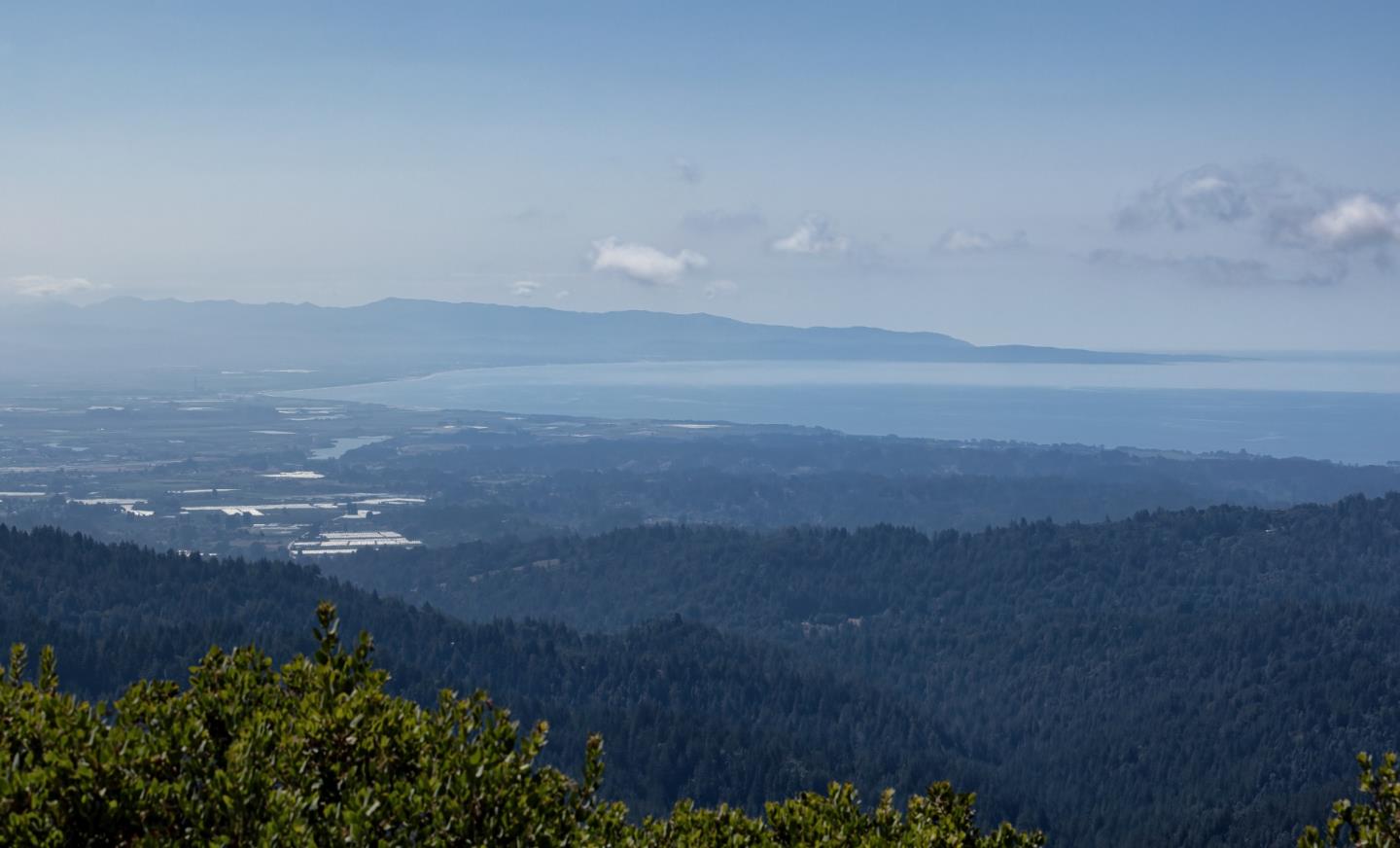 Detail Gallery Image 20 of 23 For 0 Ormsby Cutoff, Watsonville,  CA 95076 - – Beds | – Baths