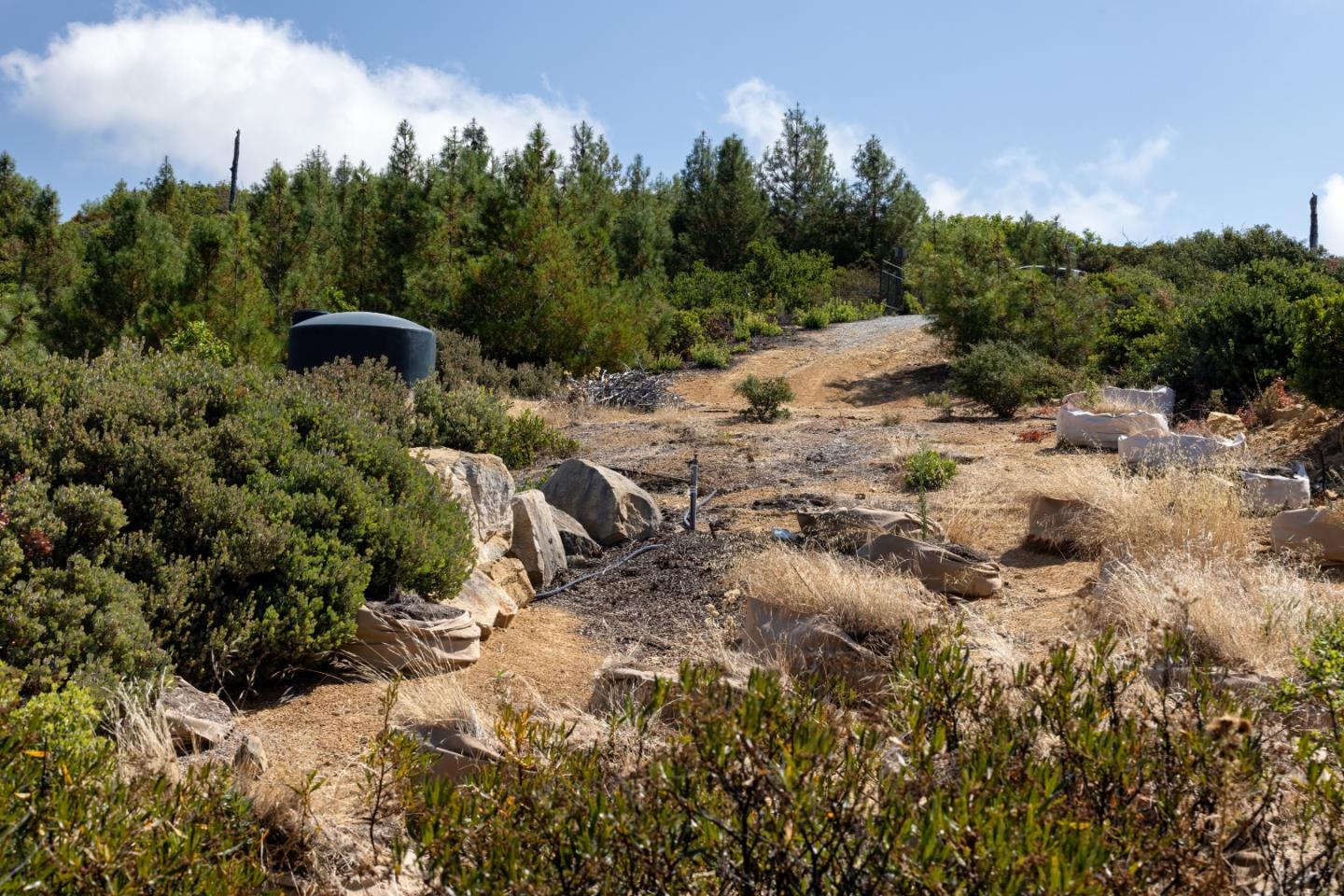 Detail Gallery Image 22 of 23 For 0 Ormsby Cutoff, Watsonville,  CA 95076 - – Beds | – Baths