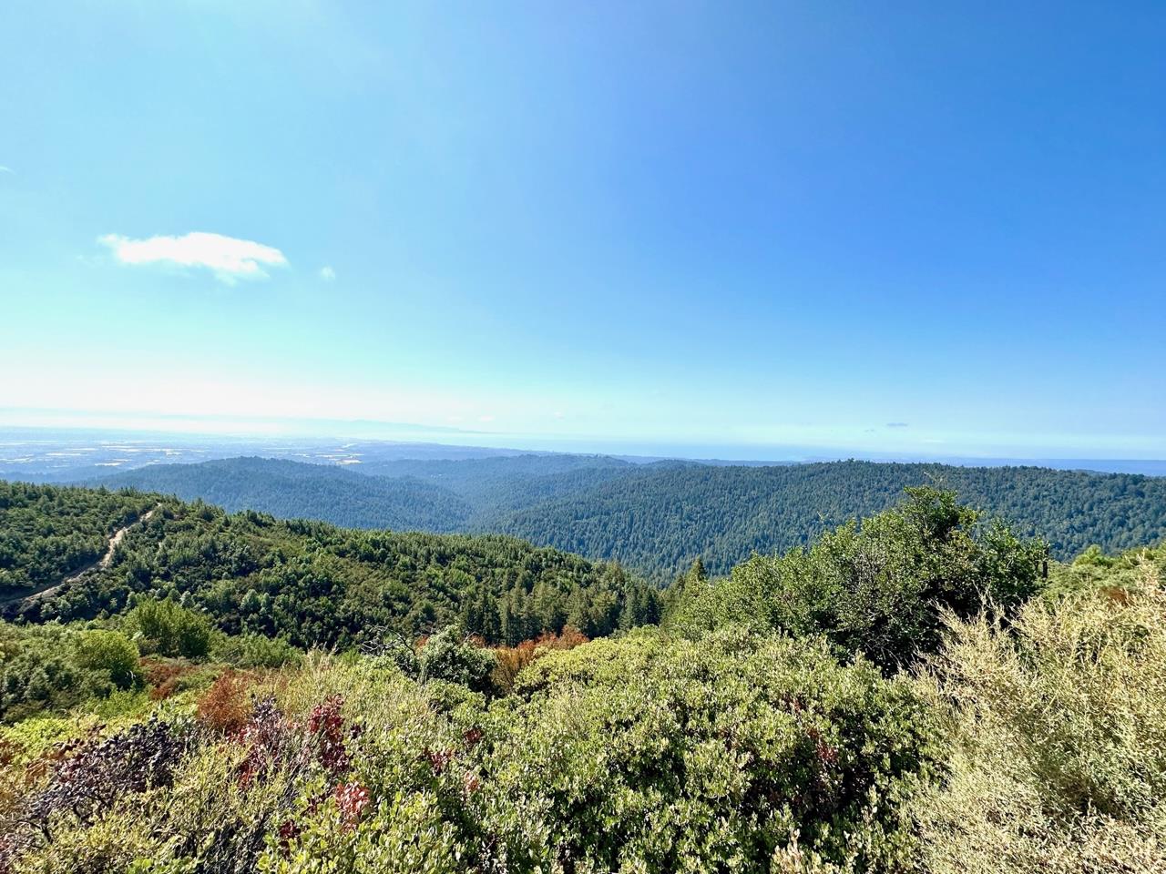 Detail Gallery Image 8 of 23 For 0 Ormsby Cutoff, Watsonville,  CA 95076 - – Beds | – Baths