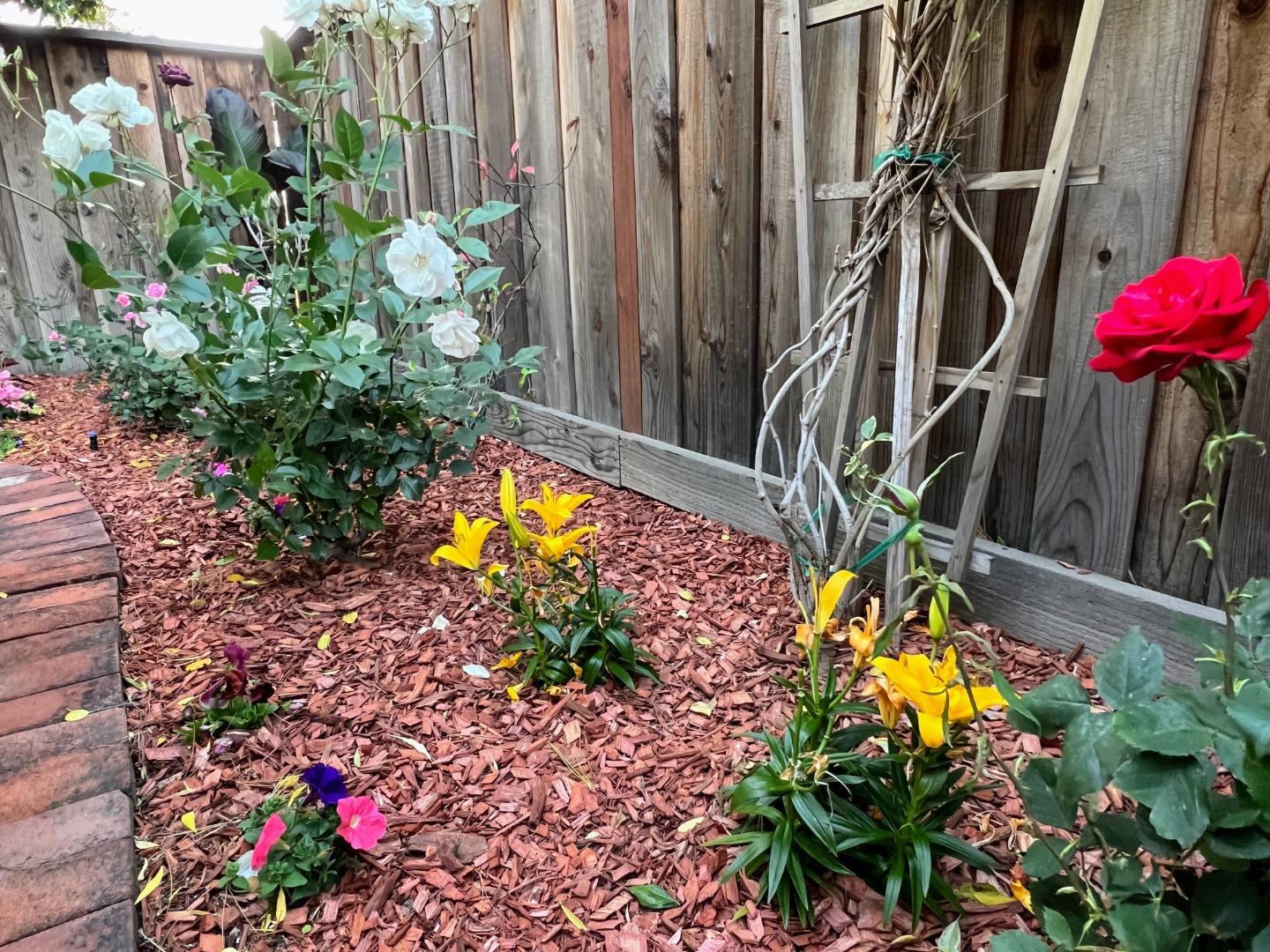 Detail Gallery Image 47 of 62 For 801 Ram Ln, Foster City,  CA 94404 - 3 Beds | 2/1 Baths