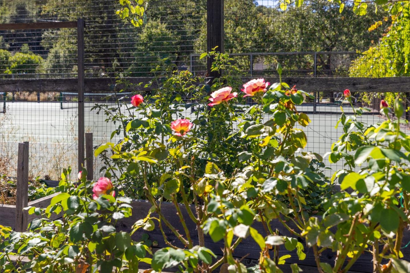 Detail Gallery Image 52 of 52 For 35 Bear Paw, Portola Valley,  CA 94028 - 3 Beds | 2/1 Baths