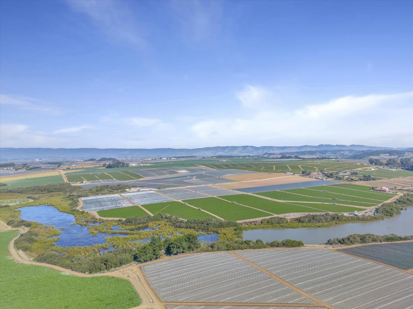 Detail Gallery Image 41 of 42 For 268 Giberson Rd, Moss Landing,  CA 95039 - 5 Beds | 4 Baths