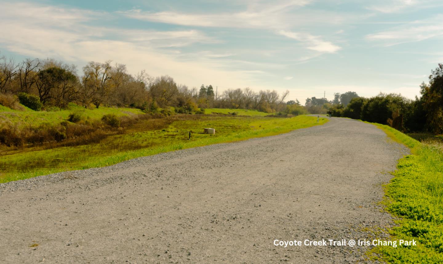 Detail Gallery Image 55 of 55 For 430 Galleria Dr #4,  San Jose,  CA 95134 - 3 Beds | 3 Baths