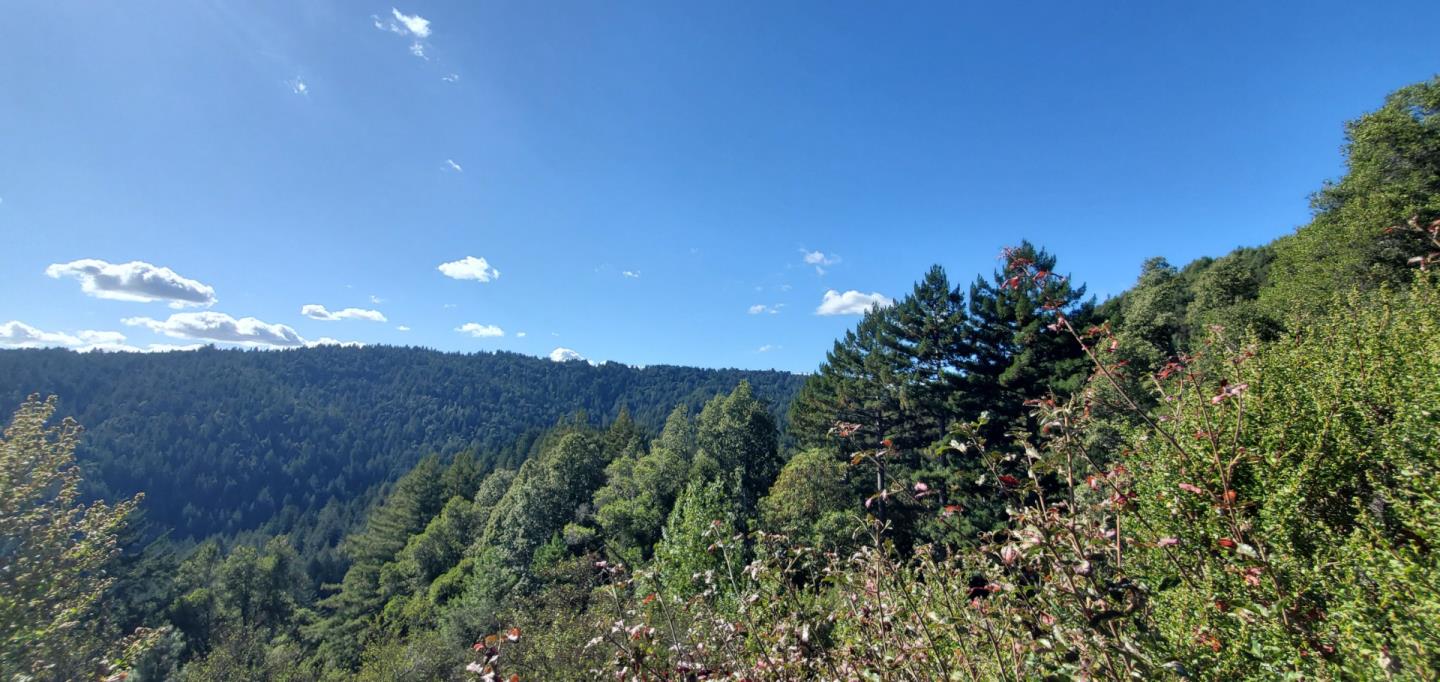 Detail Gallery Image 13 of 18 For 2033 Eureka Canyon Rd, Watsonville,  CA 95076 - – Beds | – Baths