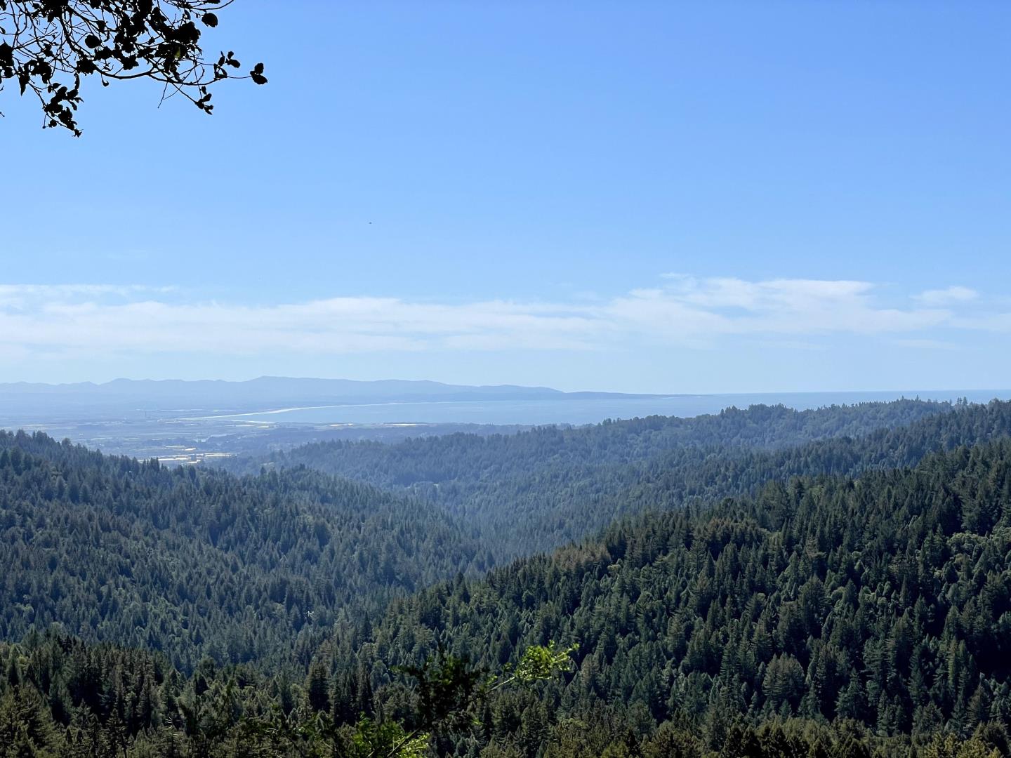 Detail Gallery Image 2 of 18 For 2033 Eureka Canyon Rd, Watsonville,  CA 95076 - – Beds | – Baths