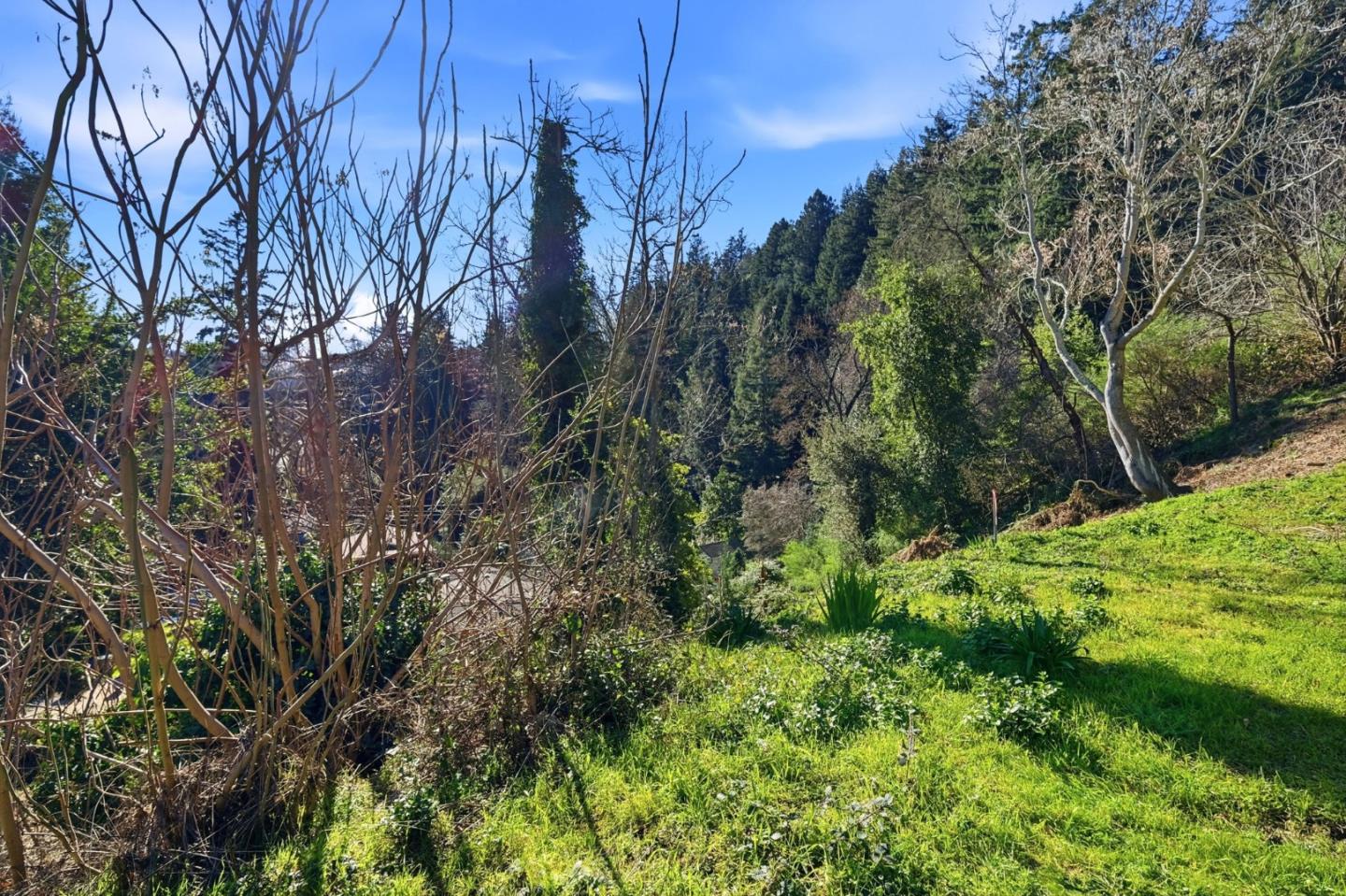 Detail Gallery Image 7 of 10 For 0 Helen Way, Los Gatos,  CA 95033 - – Beds | – Baths