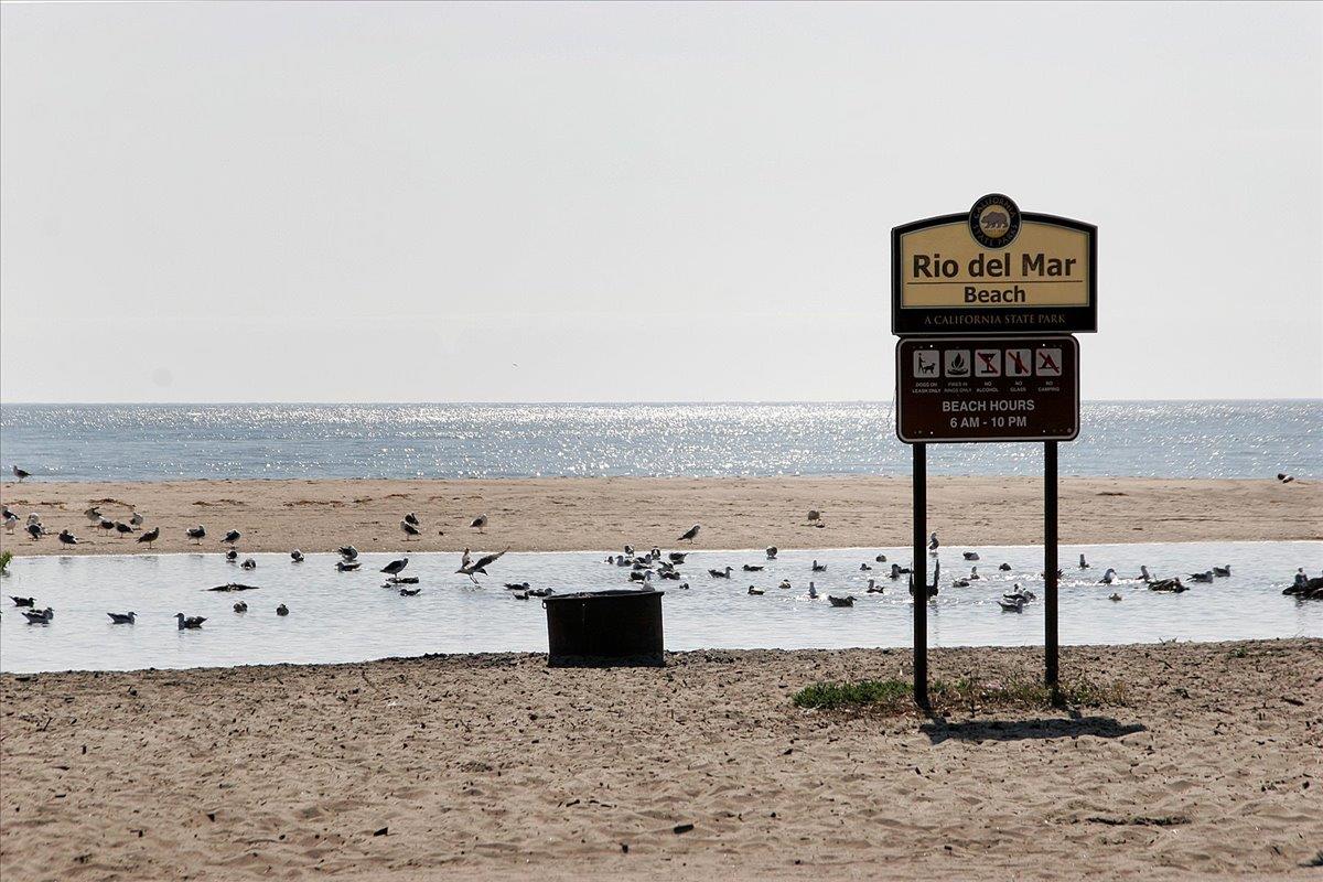 Detail Gallery Image 23 of 25 For 505 Clubhouse Dr, Aptos,  CA 95003 - 3 Beds | 2 Baths