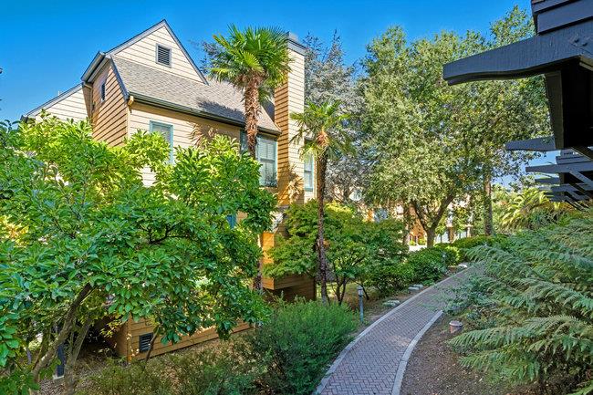 Detail Gallery Image 73 of 90 For 19 Loma Vista Ln, Belmont,  CA 94002 - 3 Beds | 2/1 Baths