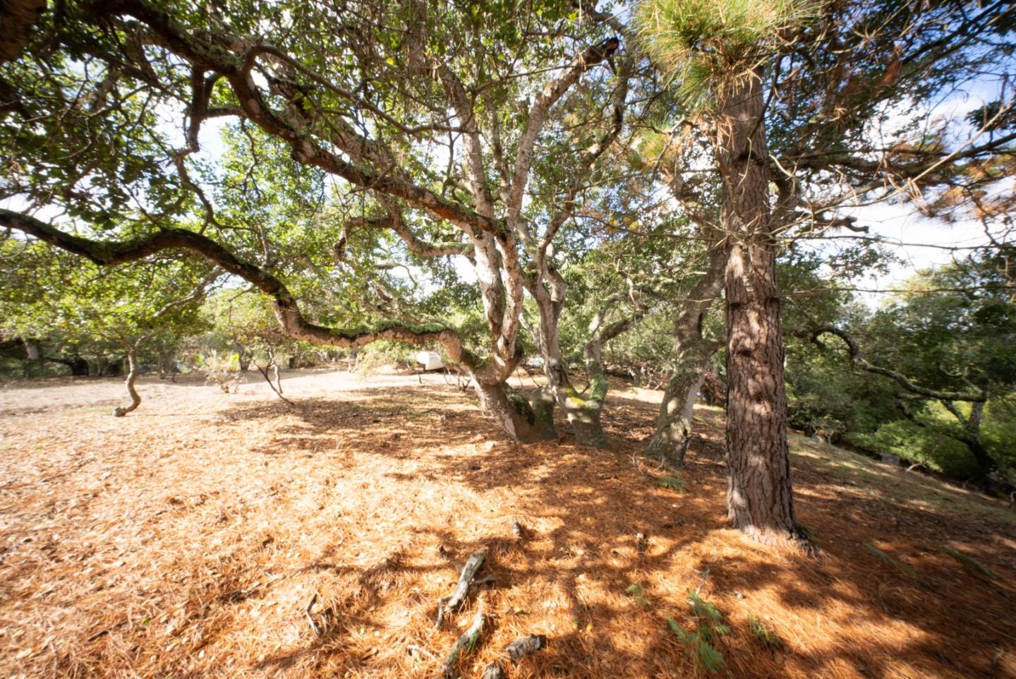 Detail Gallery Image 11 of 13 For 18221 Berta Canyon Rd, Salinas,  CA 93907 - – Beds | – Baths