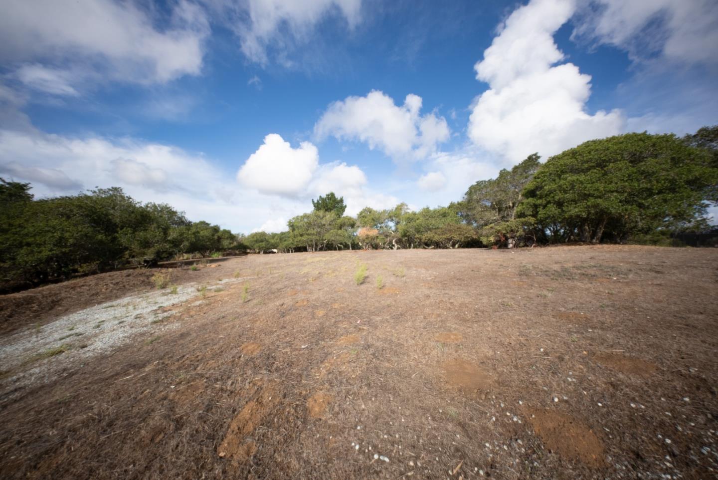 Detail Gallery Image 7 of 13 For 18221 Berta Canyon Rd, Salinas,  CA 93907 - – Beds | – Baths