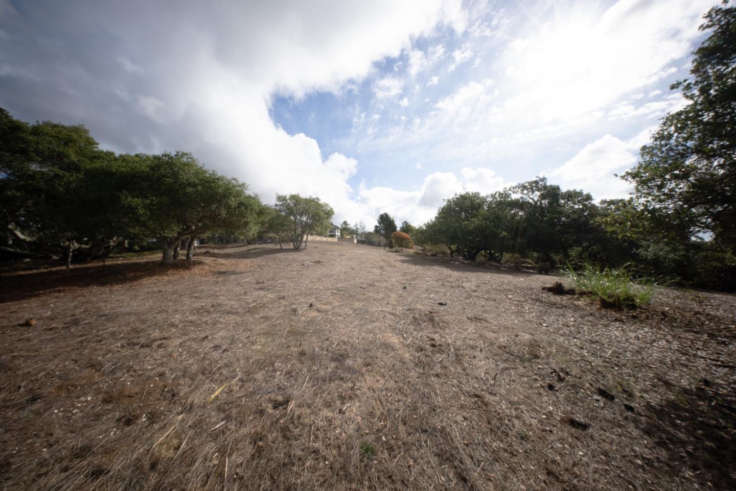 Detail Gallery Image 9 of 13 For 18221 Berta Canyon Rd, Salinas,  CA 93907 - – Beds | – Baths