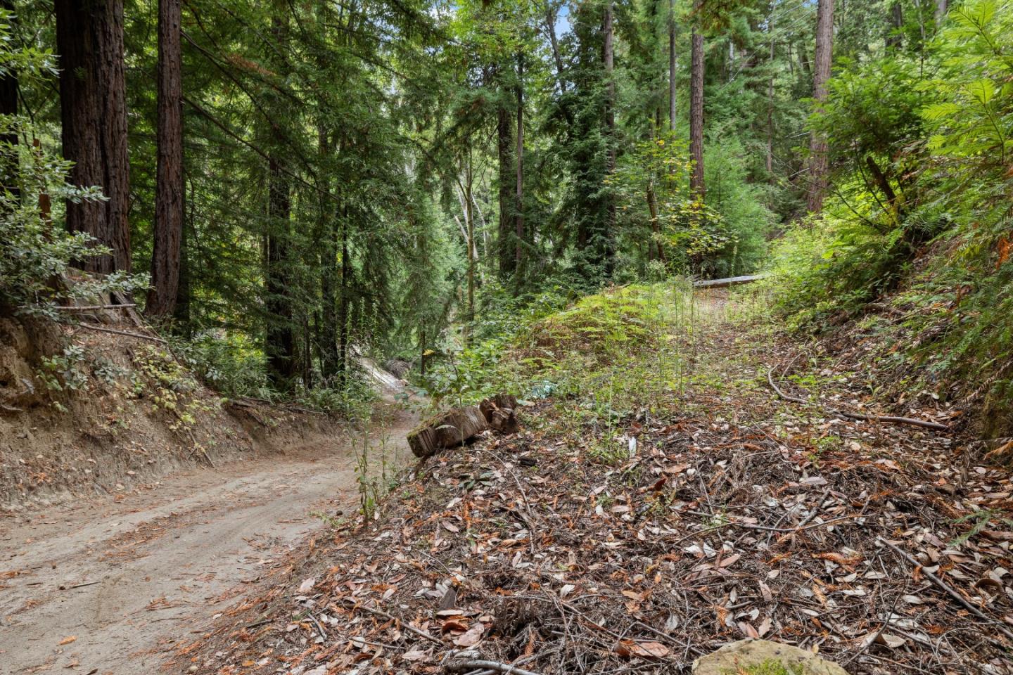 Detail Gallery Image 10 of 35 For 02 Bear Creek, Boulder Creek,  CA 95006 - – Beds | – Baths