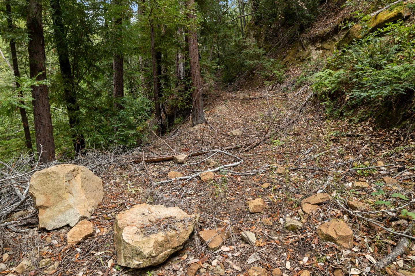 Detail Gallery Image 11 of 35 For 02 Bear Creek, Boulder Creek,  CA 95006 - – Beds | – Baths