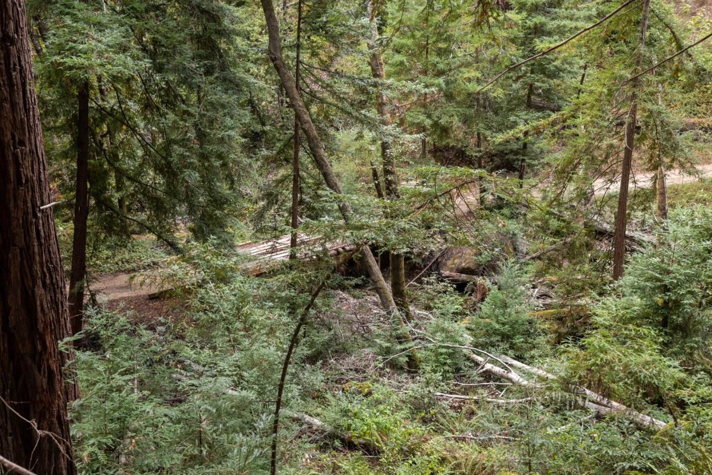 Detail Gallery Image 12 of 35 For 02 Bear Creek, Boulder Creek,  CA 95006 - – Beds | – Baths