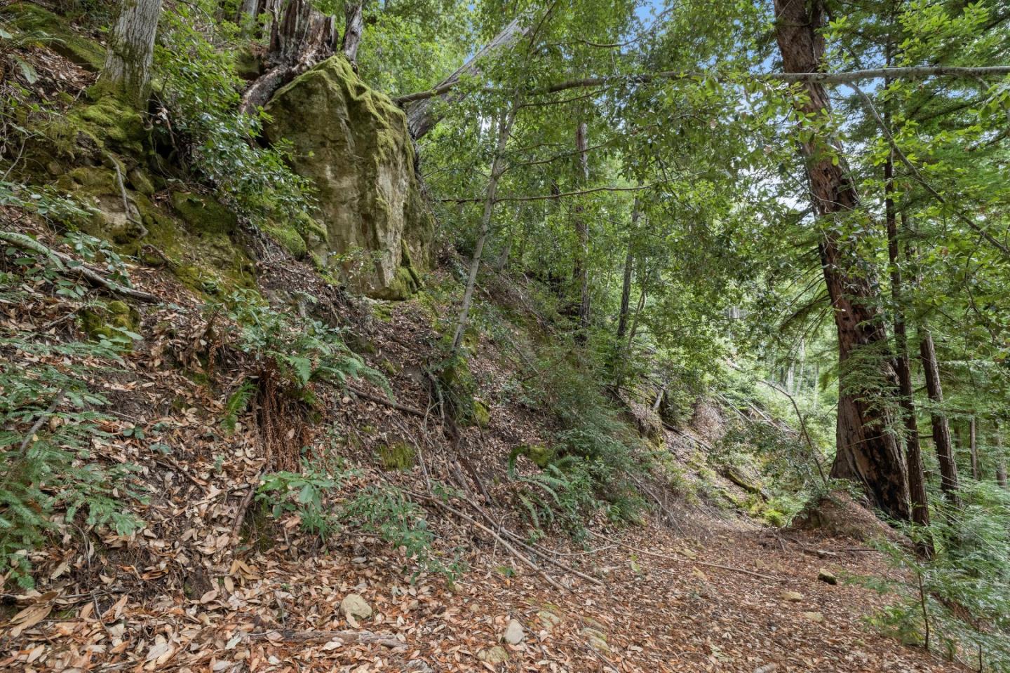 Detail Gallery Image 14 of 35 For 02 Bear Creek, Boulder Creek,  CA 95006 - – Beds | – Baths