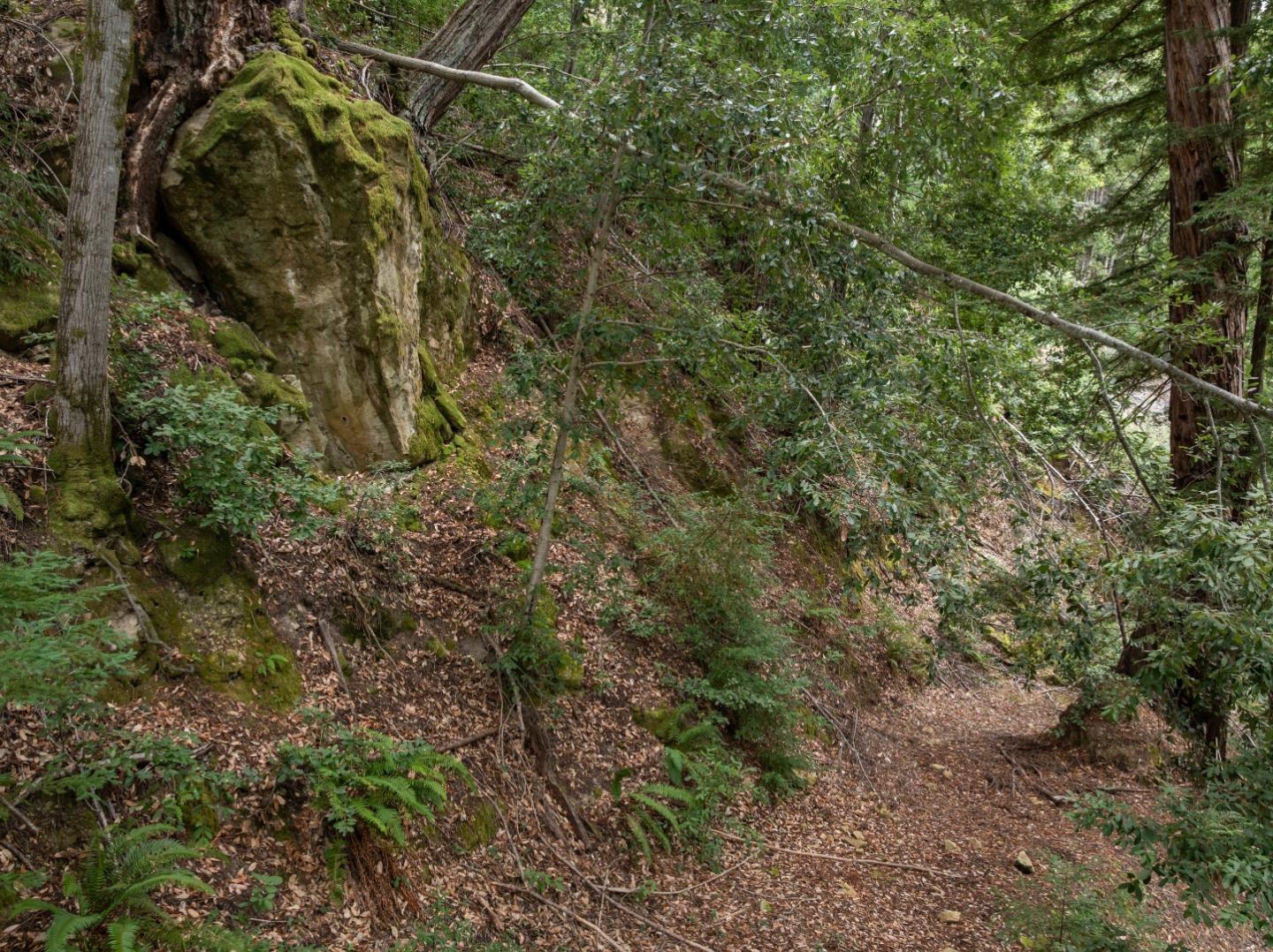 Detail Gallery Image 16 of 35 For 02 Bear Creek, Boulder Creek,  CA 95006 - – Beds | – Baths