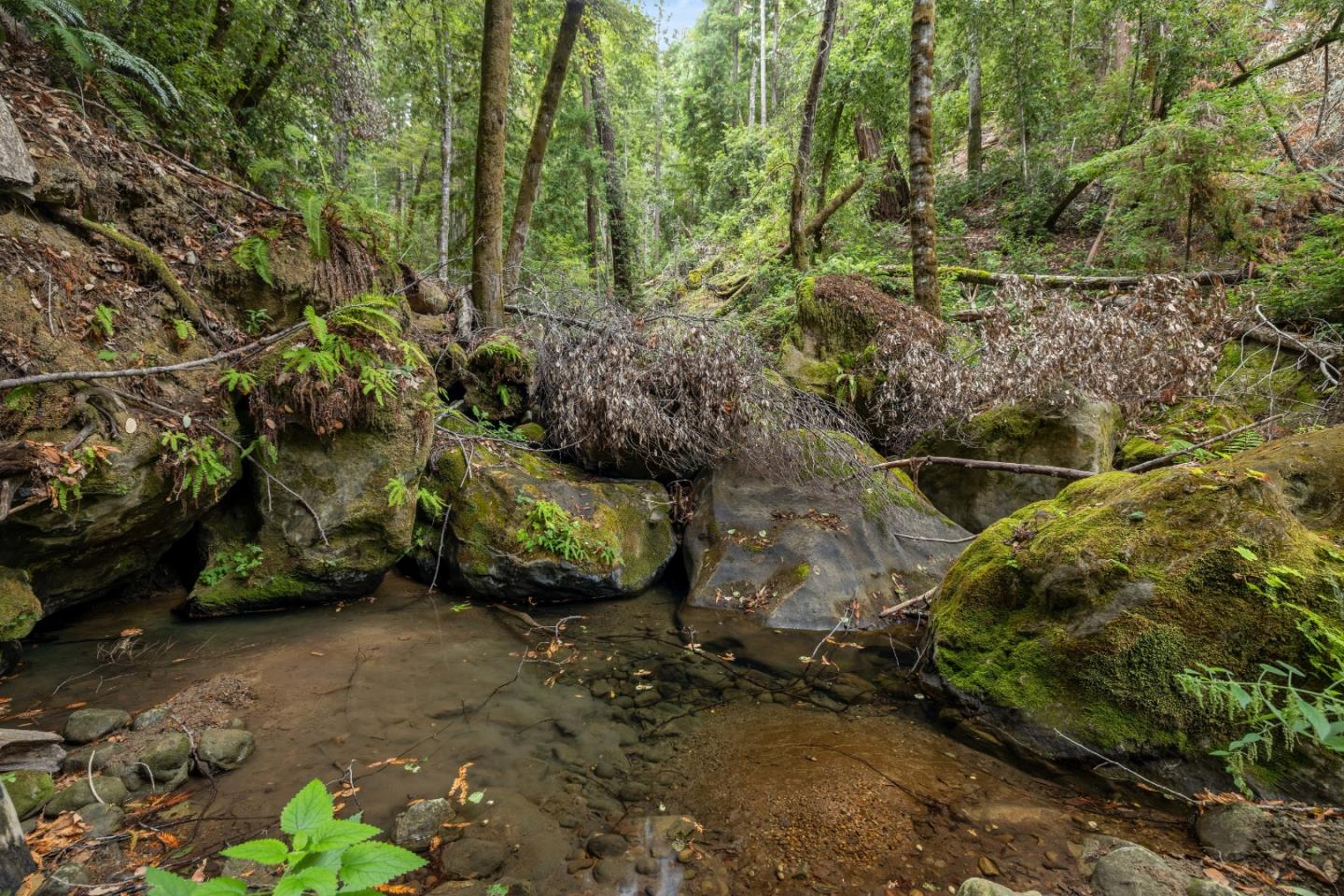 Detail Gallery Image 21 of 35 For 02 Bear Creek, Boulder Creek,  CA 95006 - – Beds | – Baths