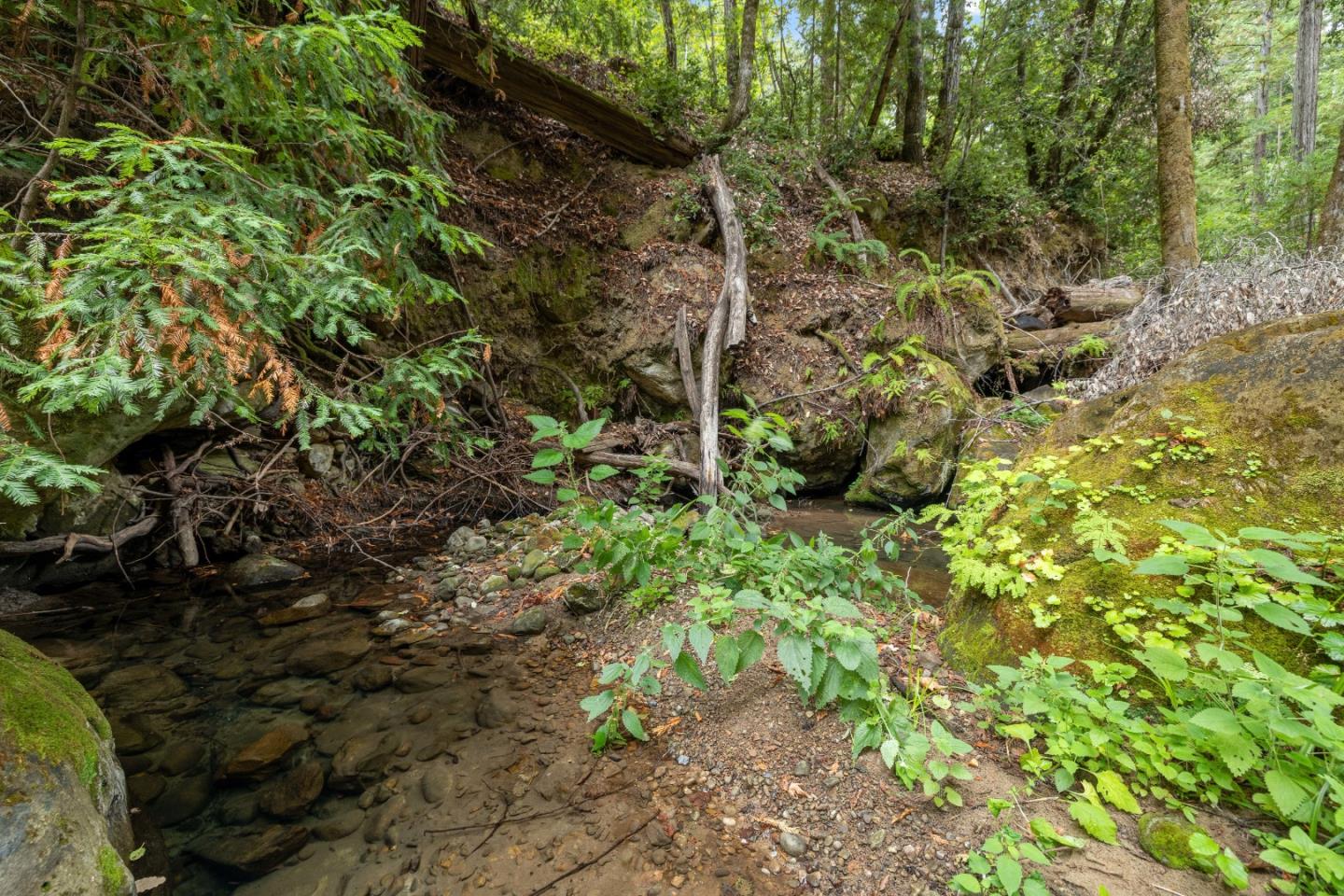 Detail Gallery Image 22 of 35 For 02 Bear Creek, Boulder Creek,  CA 95006 - – Beds | – Baths