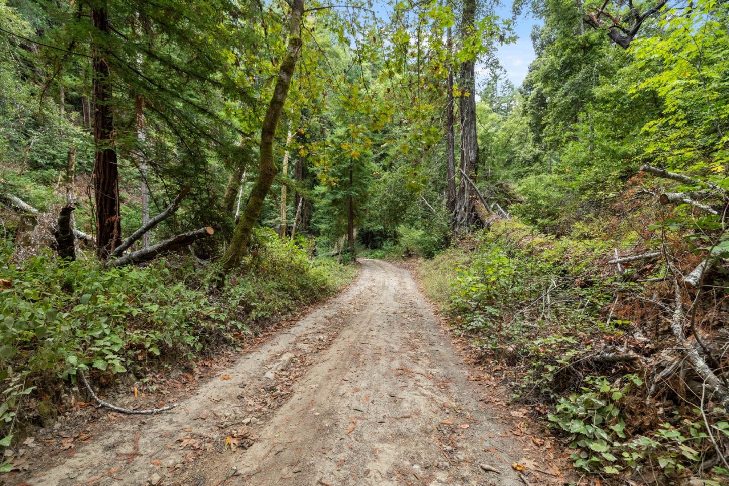 Detail Gallery Image 24 of 35 For 02 Bear Creek, Boulder Creek,  CA 95006 - – Beds | – Baths