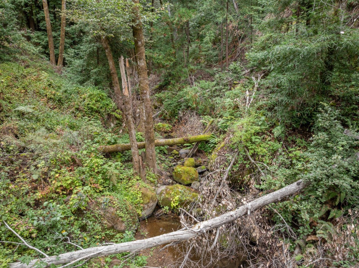 Detail Gallery Image 25 of 35 For 02 Bear Creek, Boulder Creek,  CA 95006 - – Beds | – Baths