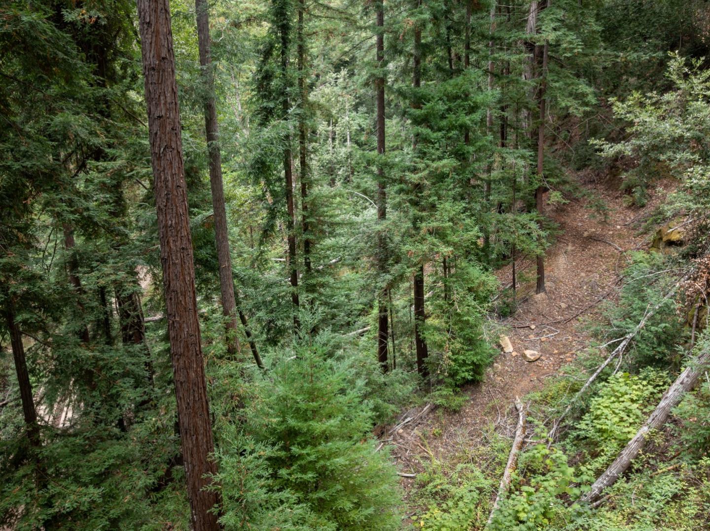 Detail Gallery Image 26 of 35 For 02 Bear Creek, Boulder Creek,  CA 95006 - – Beds | – Baths