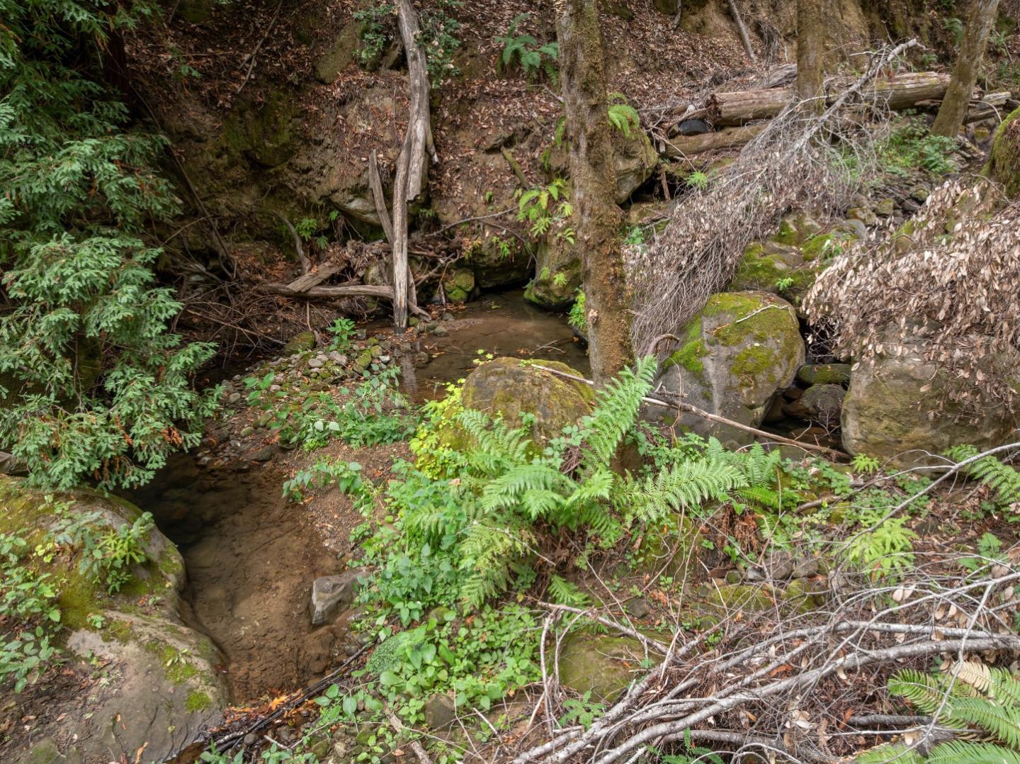 Detail Gallery Image 29 of 35 For 02 Bear Creek, Boulder Creek,  CA 95006 - – Beds | – Baths