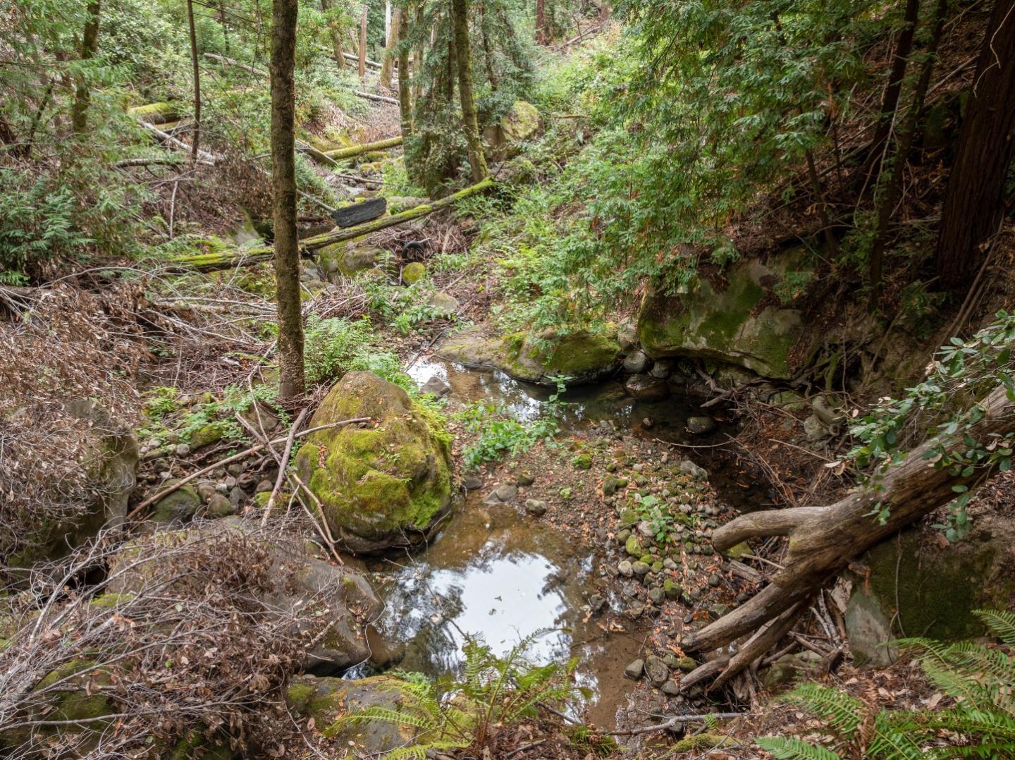 Detail Gallery Image 30 of 35 For 02 Bear Creek, Boulder Creek,  CA 95006 - – Beds | – Baths