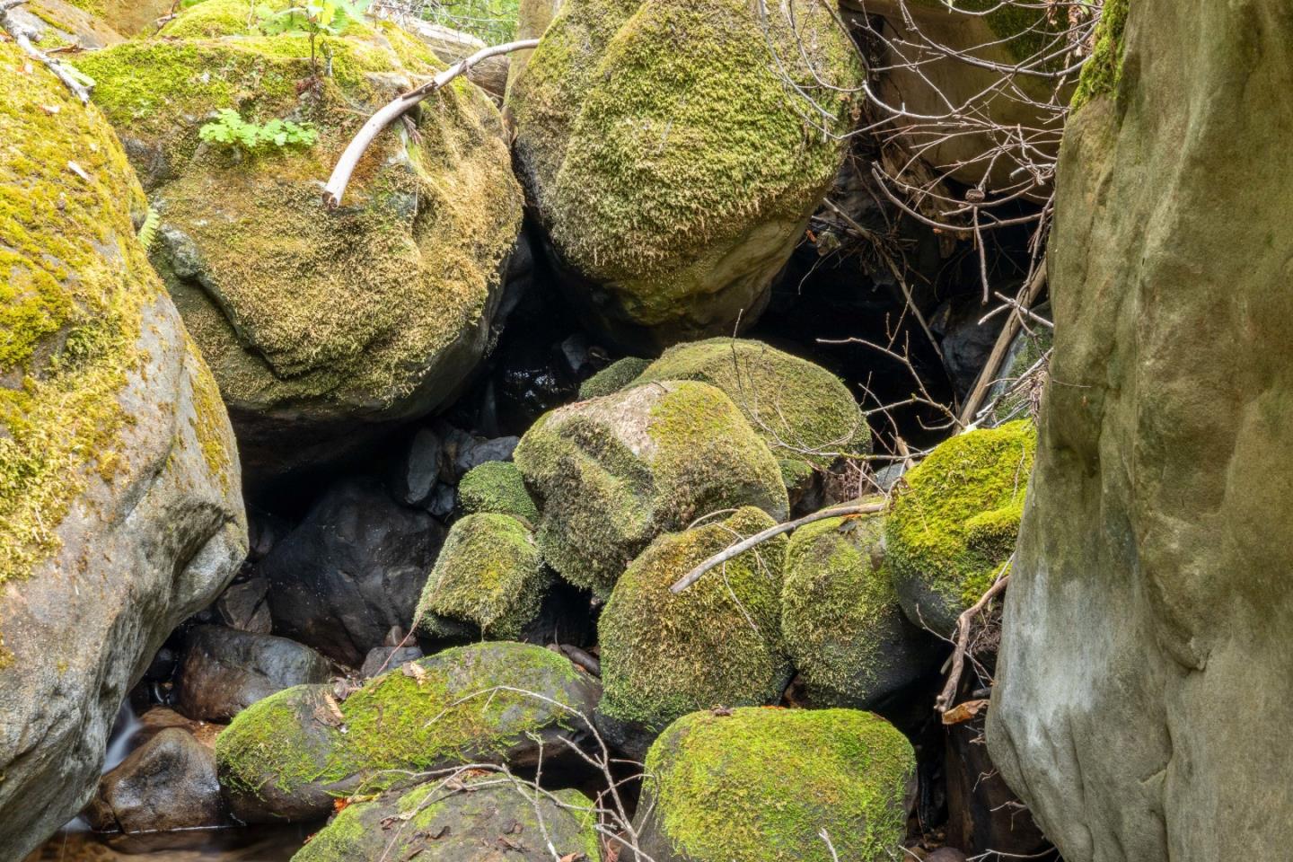 Detail Gallery Image 31 of 35 For 02 Bear Creek, Boulder Creek,  CA 95006 - – Beds | – Baths