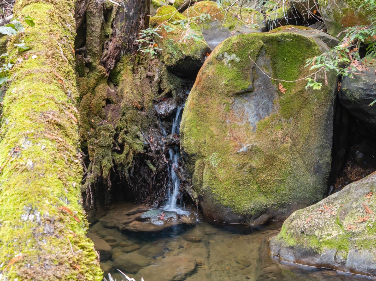 Detail Gallery Image 32 of 35 For 02 Bear Creek, Boulder Creek,  CA 95006 - – Beds | – Baths