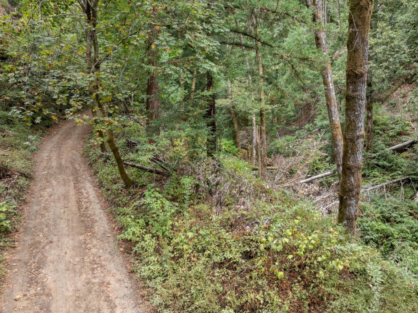 Detail Gallery Image 33 of 35 For 02 Bear Creek, Boulder Creek,  CA 95006 - – Beds | – Baths