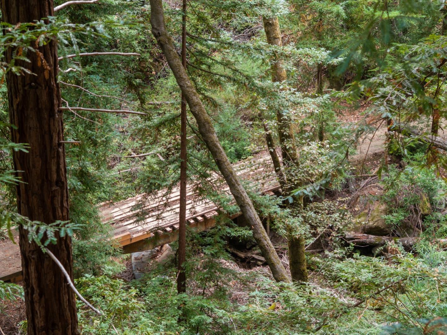 Detail Gallery Image 34 of 35 For 02 Bear Creek, Boulder Creek,  CA 95006 - – Beds | – Baths