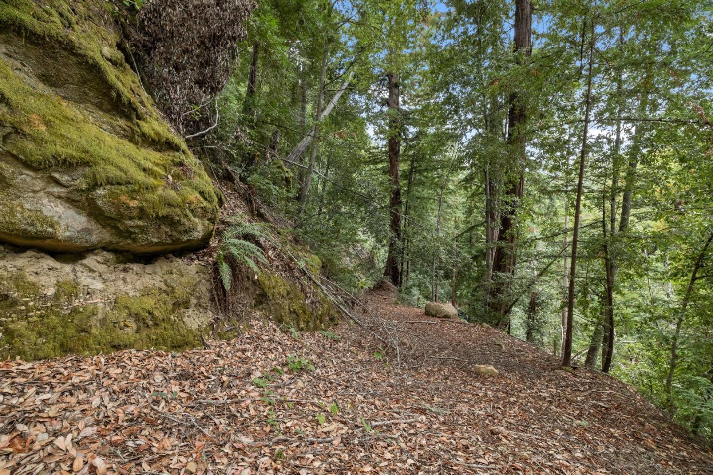 02 Bear Creek, Boulder Creek, CA, 95006