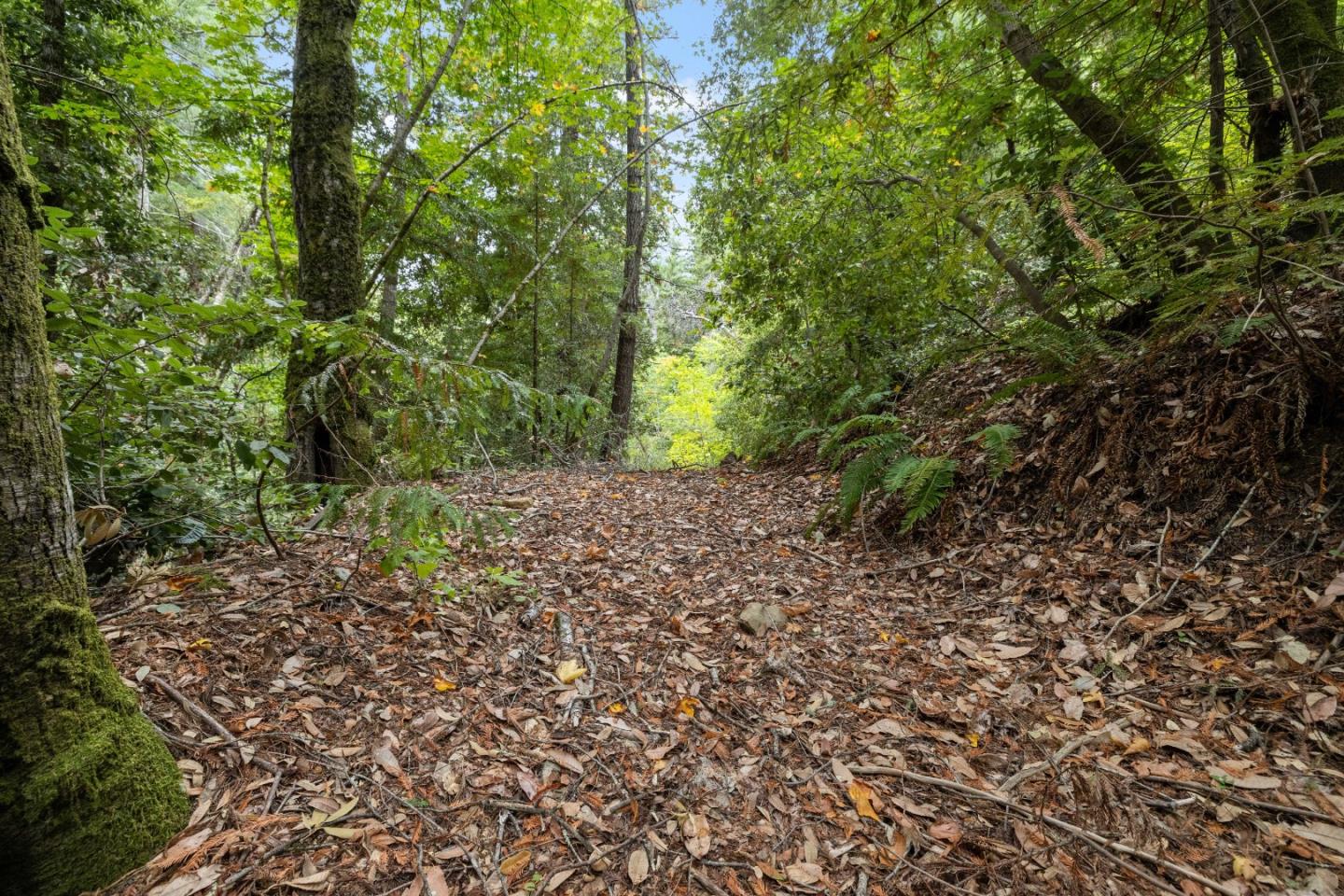 02 Bear Creek, Boulder Creek, CA, 95006