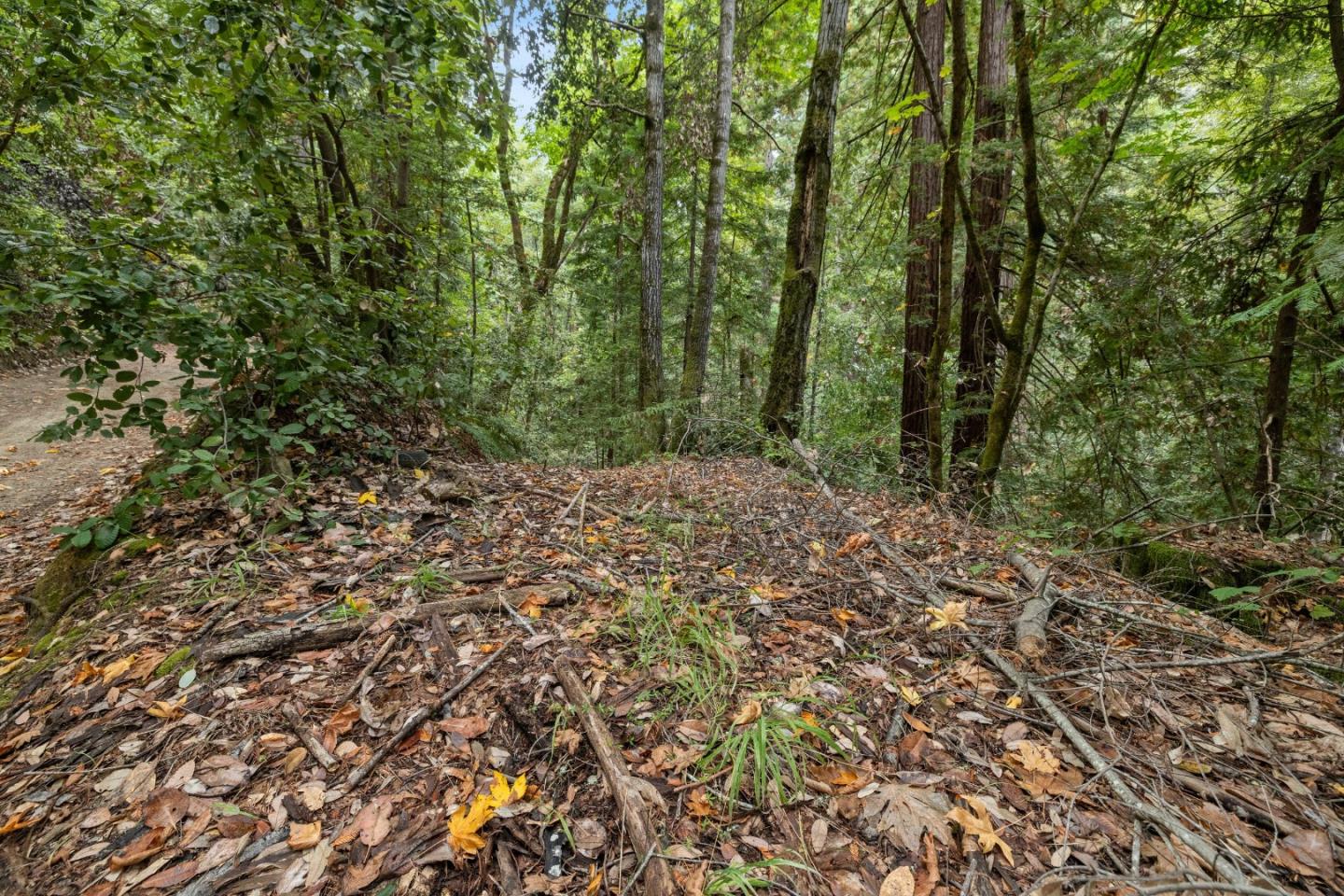 Detail Gallery Image 5 of 35 For 02 Bear Creek, Boulder Creek,  CA 95006 - – Beds | – Baths