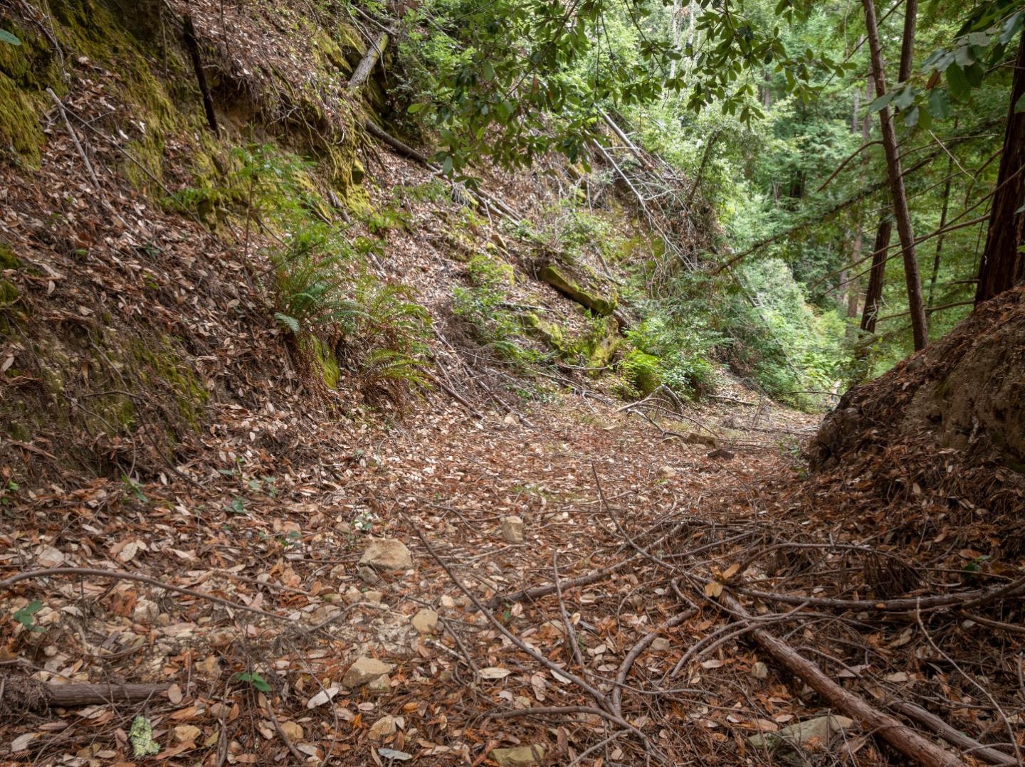 02 Bear Creek, Boulder Creek, CA, 95006