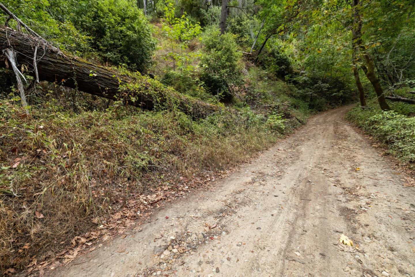 Detail Gallery Image 8 of 35 For 02 Bear Creek, Boulder Creek,  CA 95006 - – Beds | – Baths