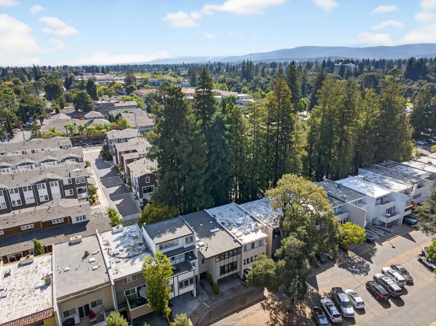 Detail Gallery Image 50 of 65 For 170 Stone Pine Ln, Menlo Park,  CA 94025 - 3 Beds | 2/1 Baths