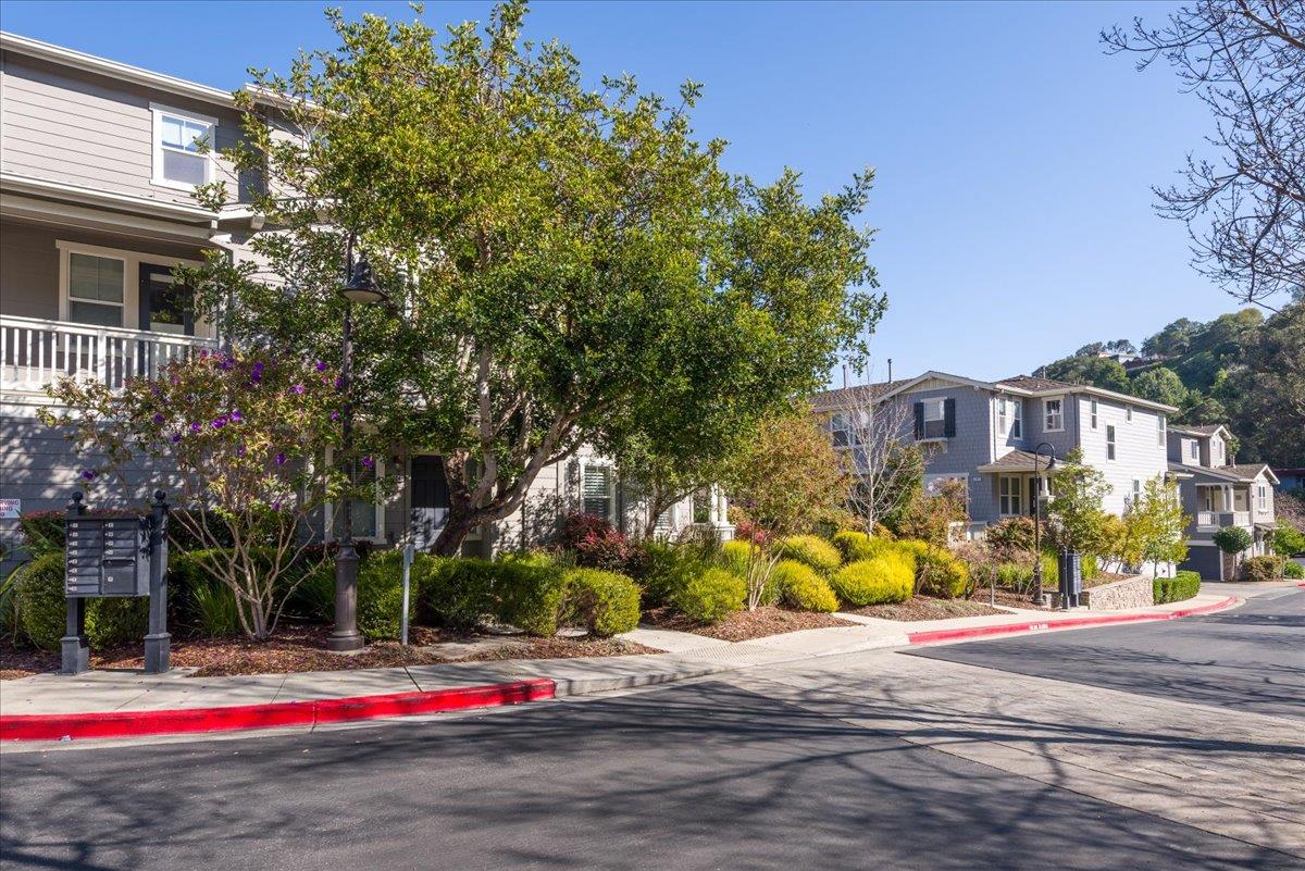 Detail Gallery Image 9 of 11 For 1100 Live Oak Way #1104,  Belmont,  CA 94002 - 2 Beds | 2/1 Baths